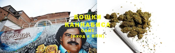 индика Киренск