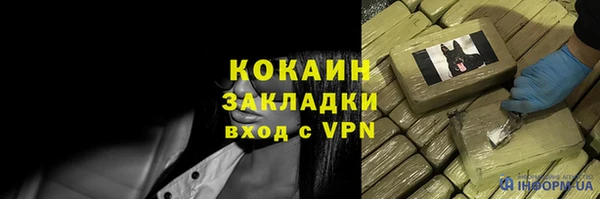 индика Киренск