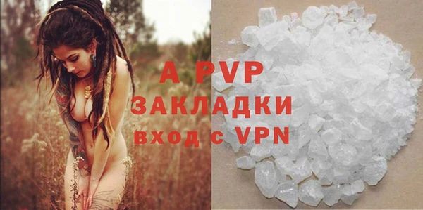 индика Киренск
